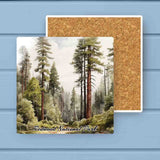 Redwood National Park Absorbant Stone Coaster