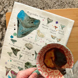 Shark Teeth Names Tea Towel – Collector Chart Gift – Avery's Home
