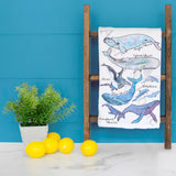 Whale Species Tea Towel – Educational Ocean Decor – Avery's Home