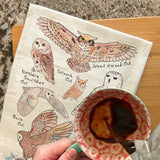 Owls of North America Tea Towel – Bird Watcher Decor – Avery's Home