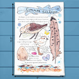 Sandpiper Bird Facts Tea Towel – Shoreline Decor – Avery's Home