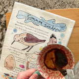 Sandpiper Bird Facts Tea Towel – Shoreline Decor – Avery's Home