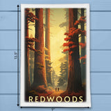 Redwoods National Park California Kitchen Dish Towel