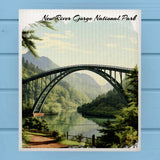 New River Gorge National Park Swedish Dish Cloth Sponge