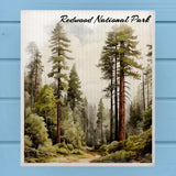 Redwood National Park Swedish Dish Cloth Sponge