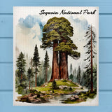 Sequoia National Park Swedish Dish Cloth Sponge