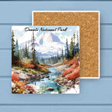 Denali National Park Absorbant Stone Coaster