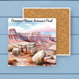 Petrified Forest National Park Absorbant Stone Coaster
