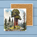 Sequoia National Park Absorbant Stone Coaster